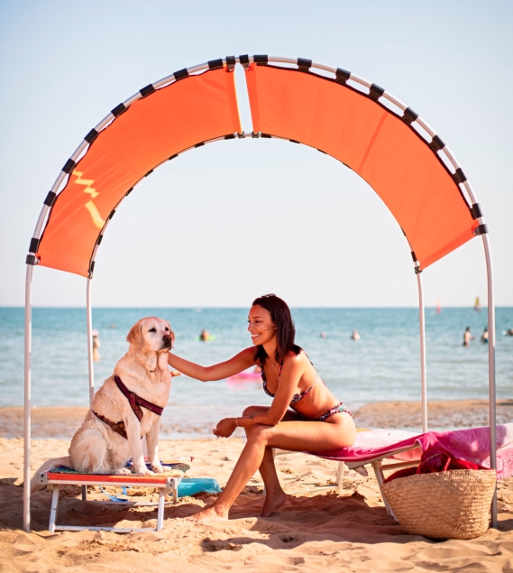 cane in spiaggia